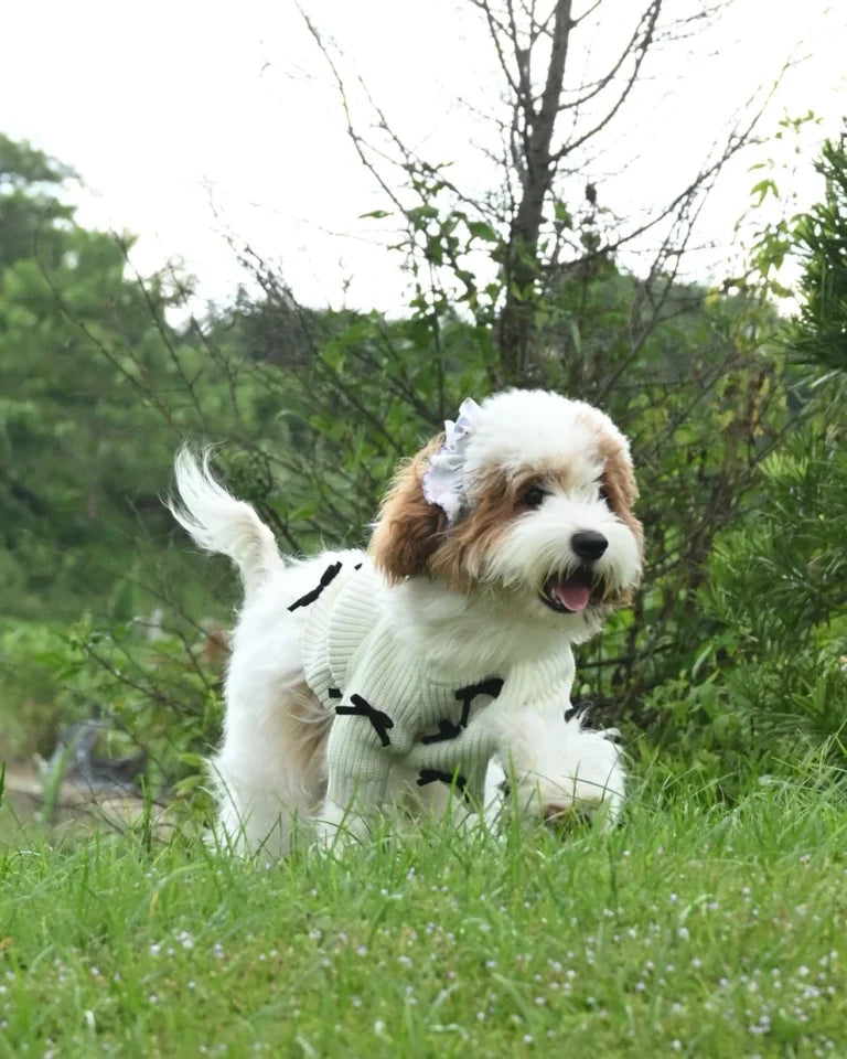 Witte gebreide hondentrui met zwart strikeontwerp