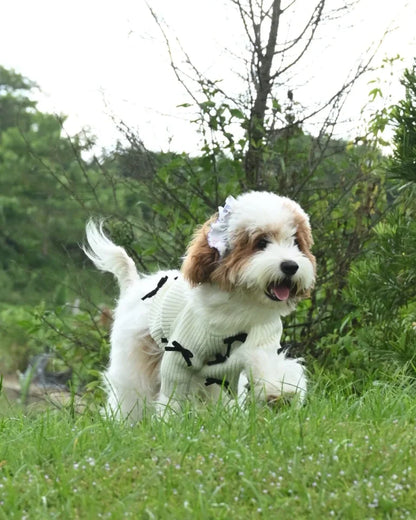 Witte gebreide hondentrui met zwart strikeontwerp