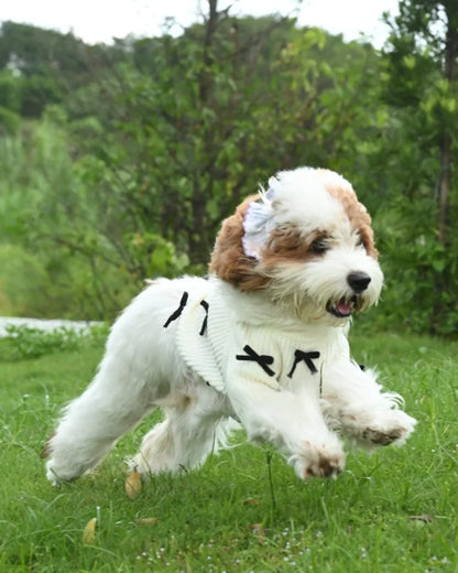 Witte gebreide hondentrui met zwart strikeontwerp