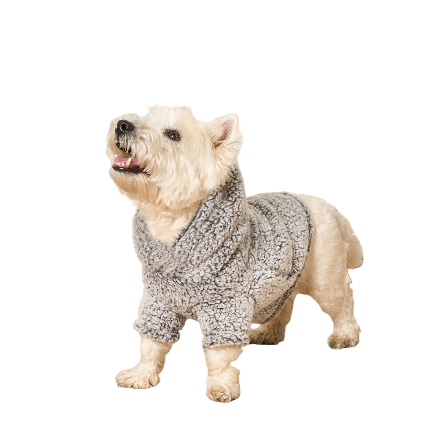Teddy Fleece Hoodie voor Honden – Grijs