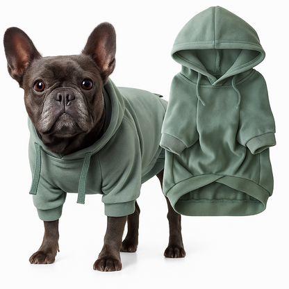 Saliegroene hondenhoodie van biologisch katoen