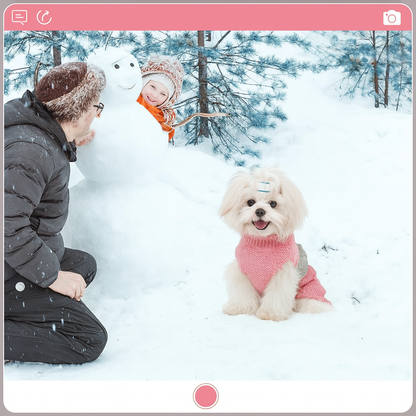 Kleurrijke gebreide trui voor honden