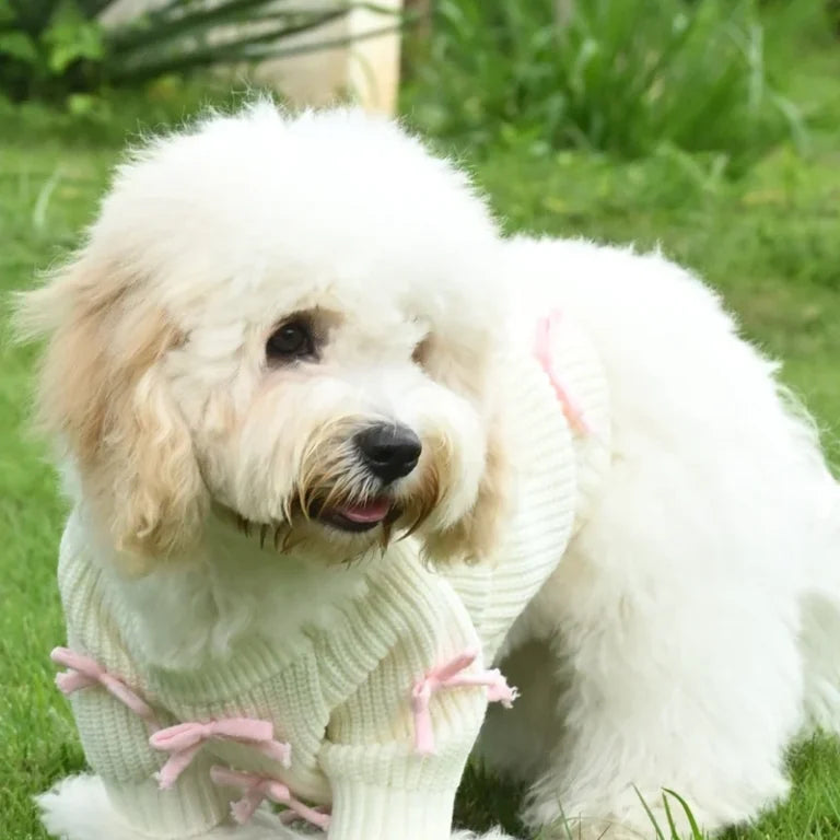 Crèmekleurige gebreide hondentrui met roze strikaccenten