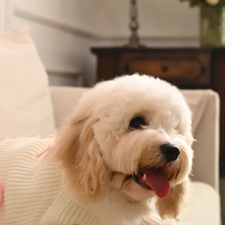 Crèmekleurige gebreide hondentrui met roze strikaccenten