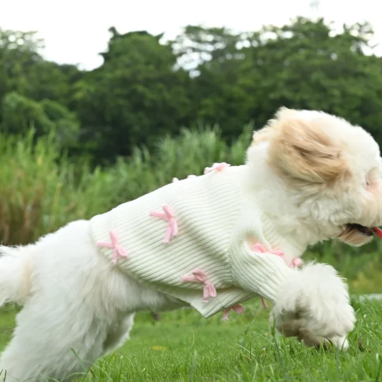 Crèmekleurige gebreide hondentrui met roze strikaccenten