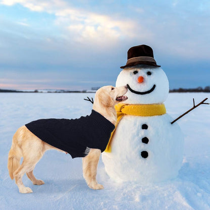 Klassieke coltrui voor honden